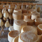 CASTELMONFORTE - Pecorino Molisano Semifresco