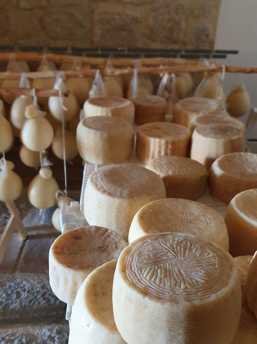CASTELMONFORTE - Pecorino Molisano Semifresco