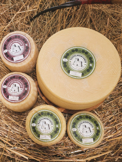 CASTELMONFORTE - Pecorino Molisano Semifresco
